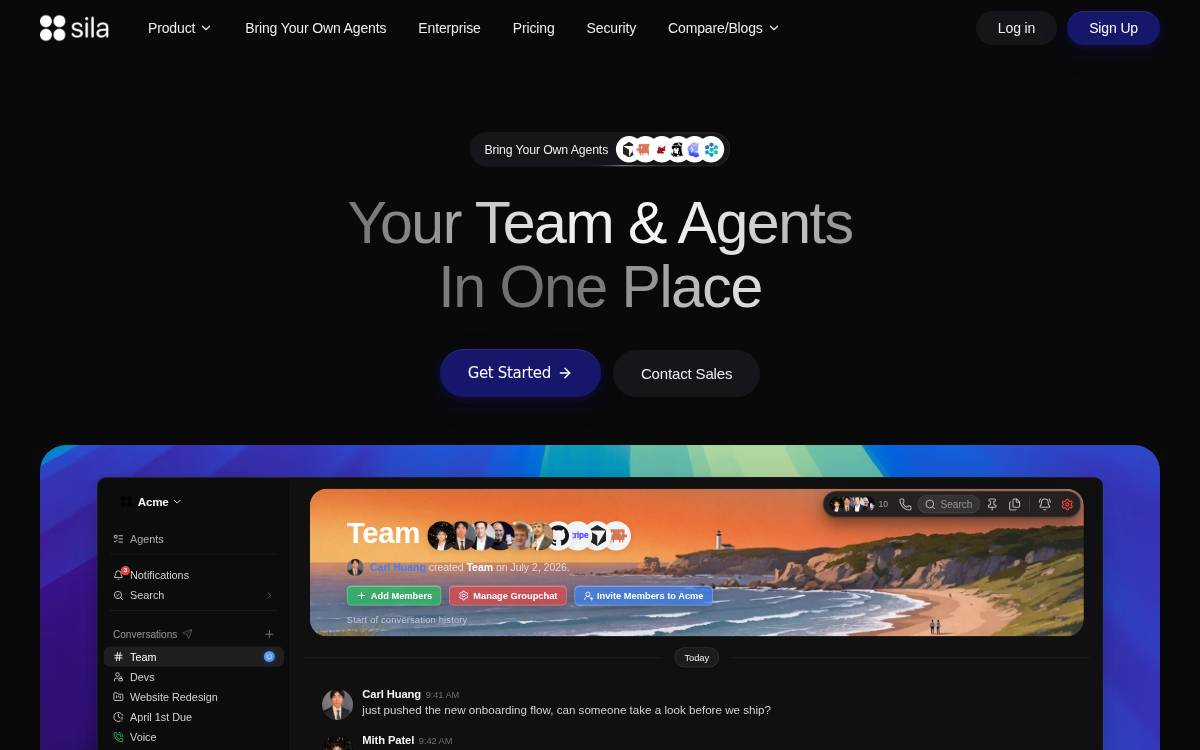 Sila website preview