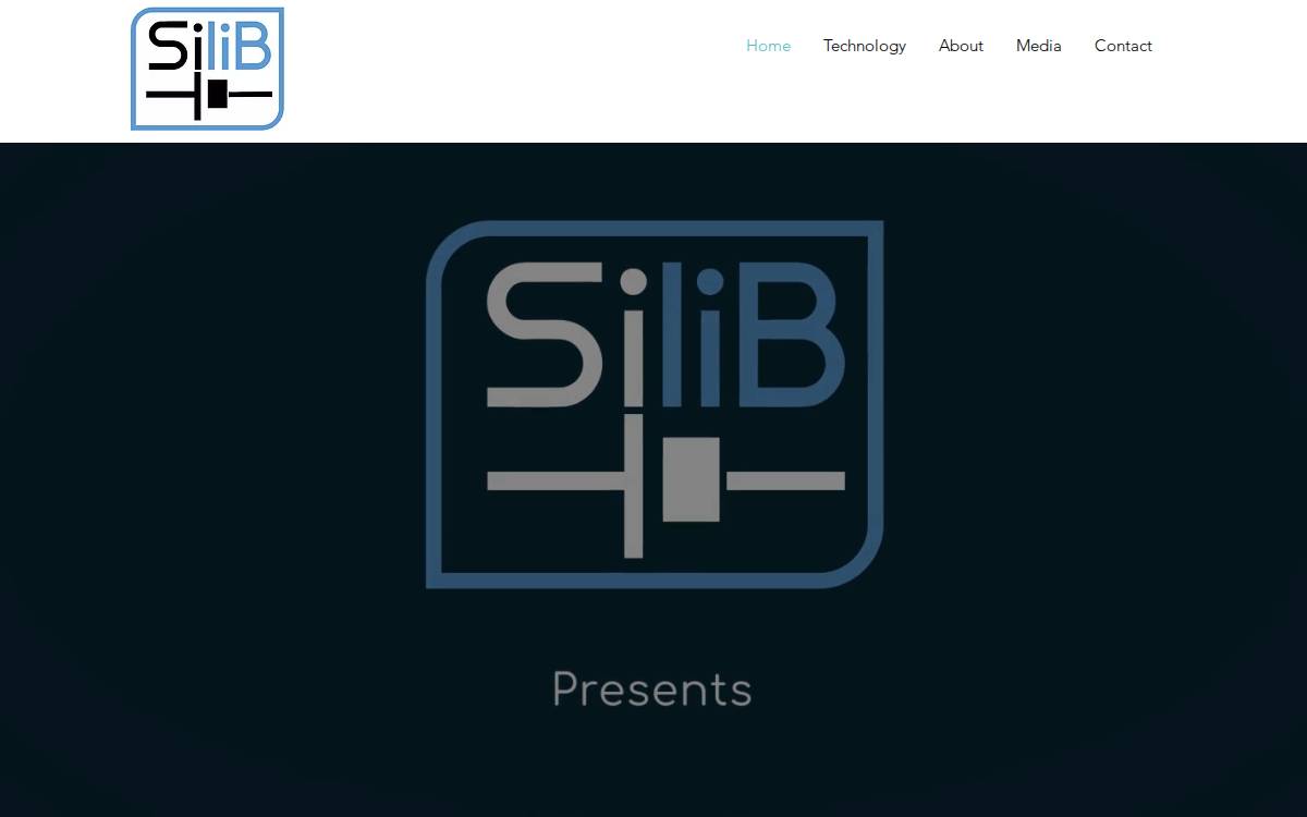 Silib website preview