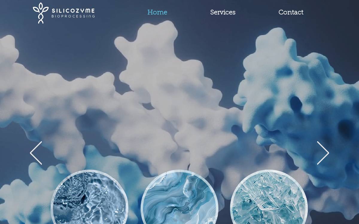 Silicozyme website preview