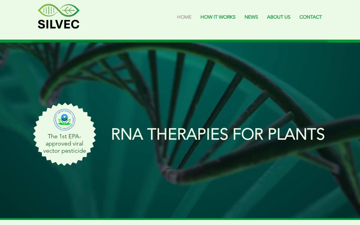 Silvec website preview