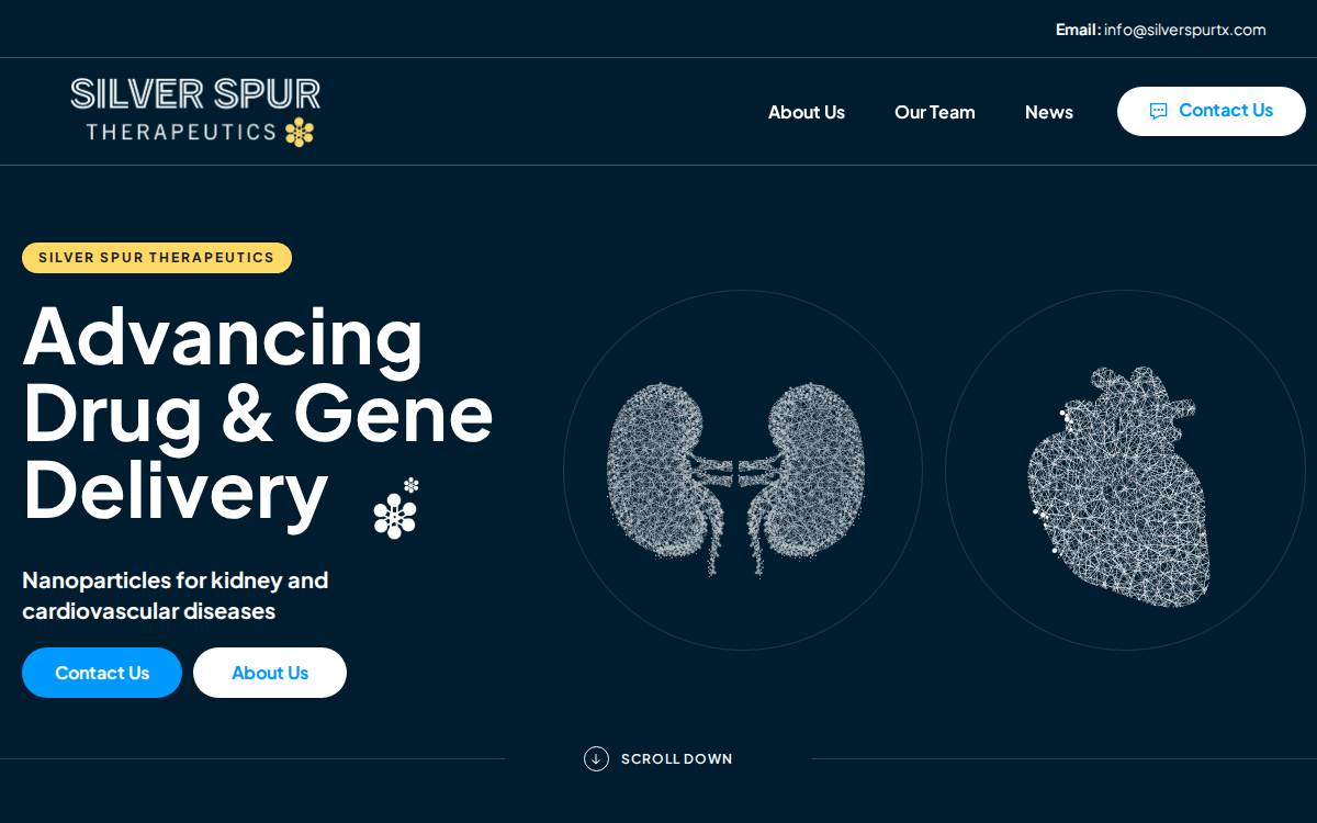 Silver Spur TX website preview