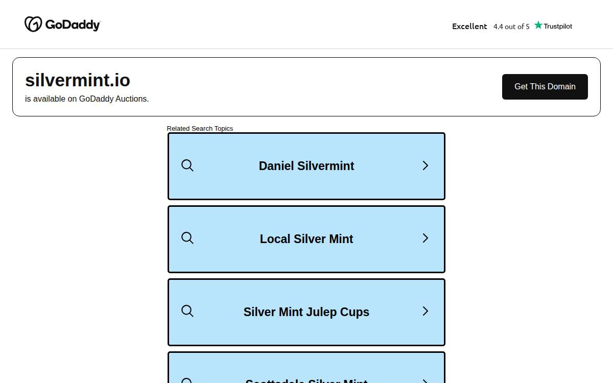 Silvermint website preview