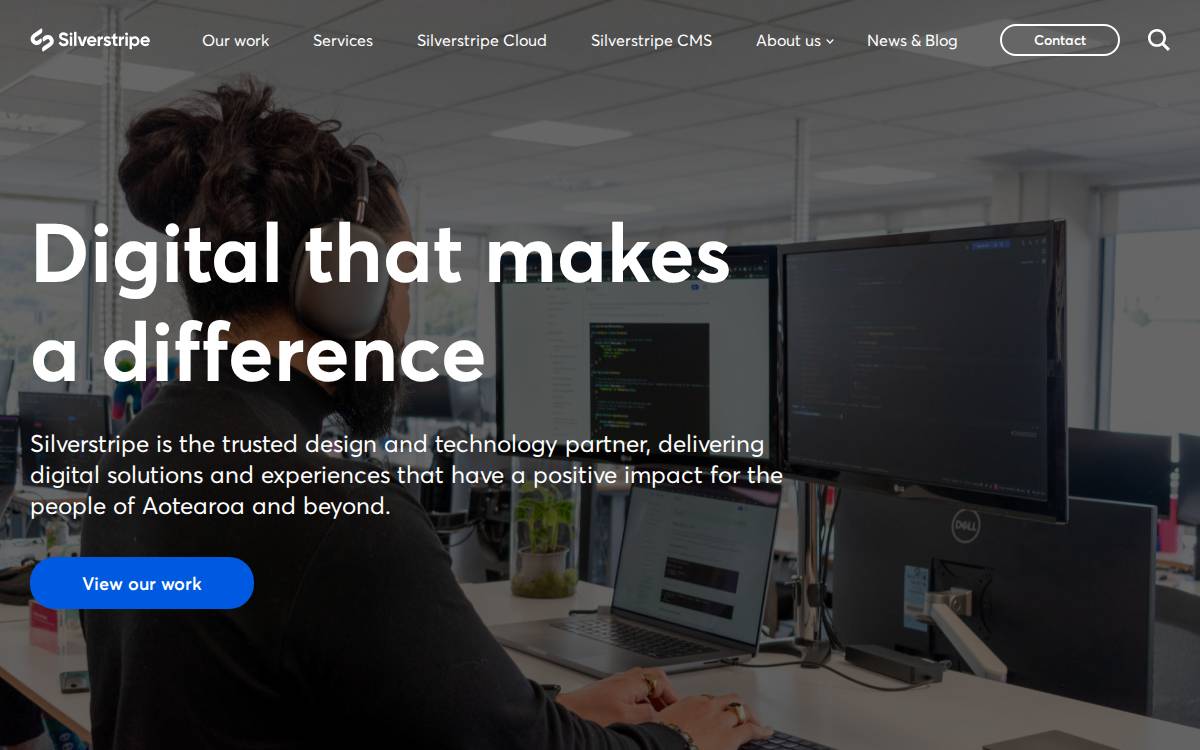 Silverstripe website preview