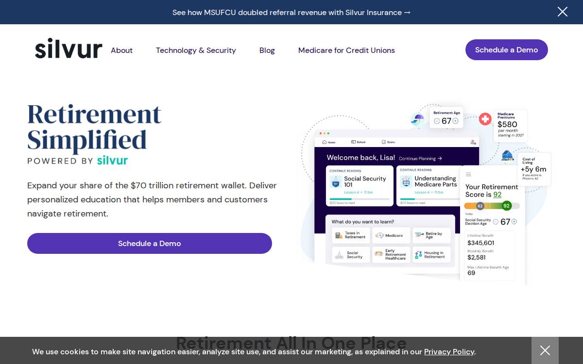 Silvur website preview