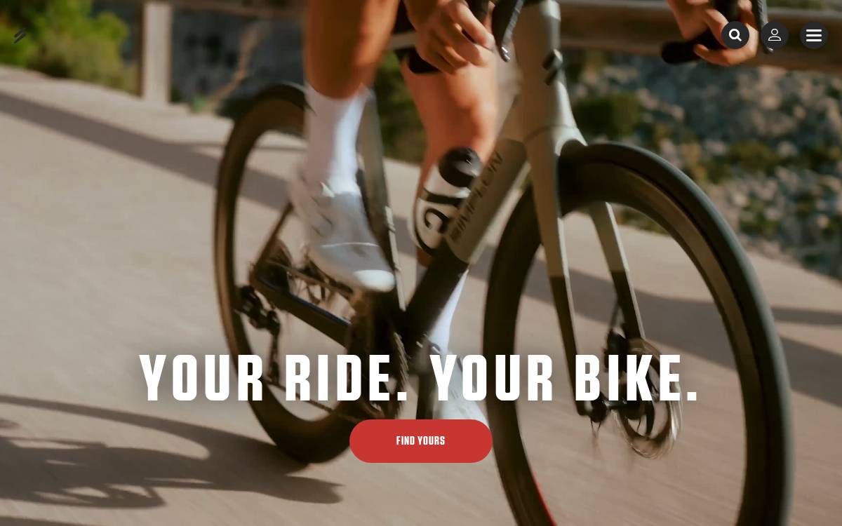Simplon website preview