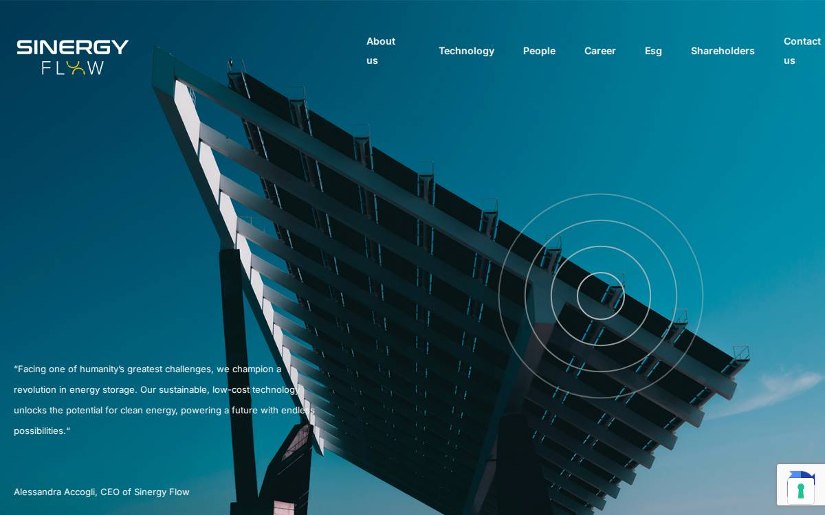 Sinergy Flow website preview