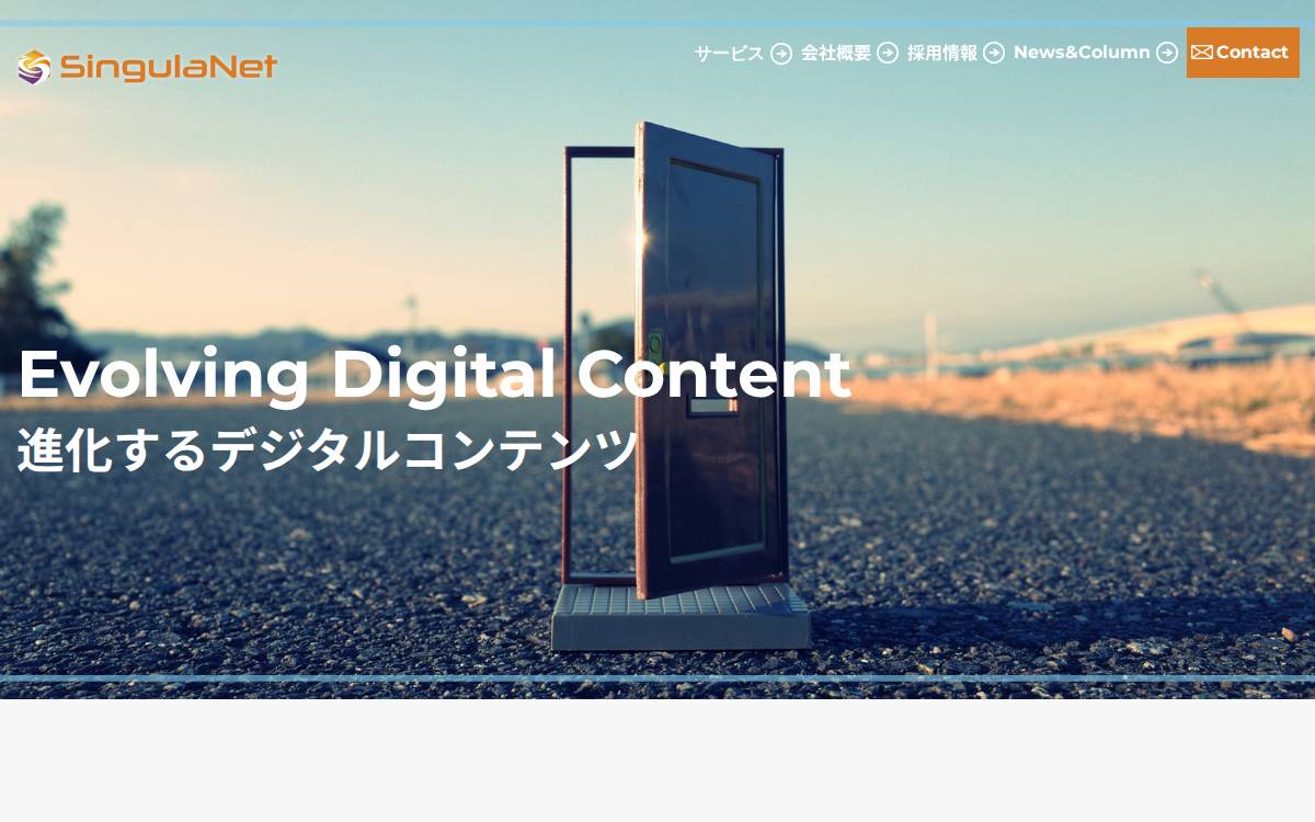 SingulaNet website preview