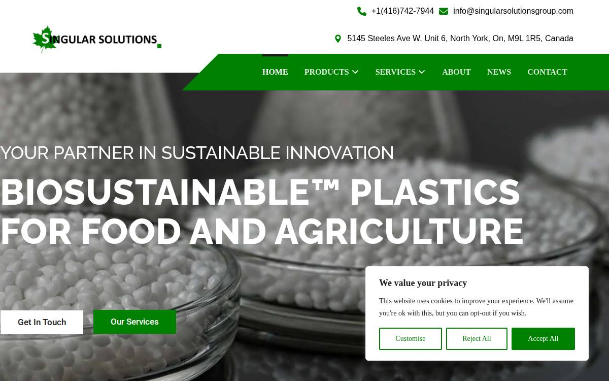 Singular Solutions Inc. website preview