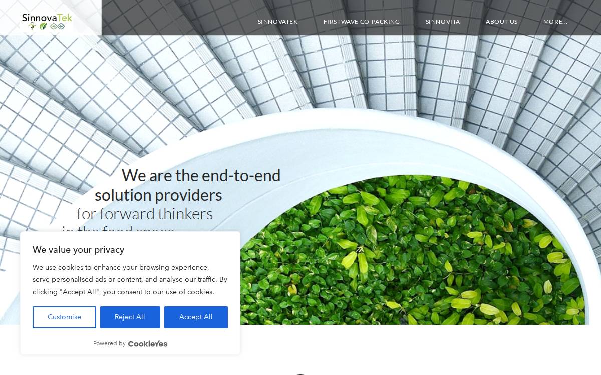 SinnovaTek website preview