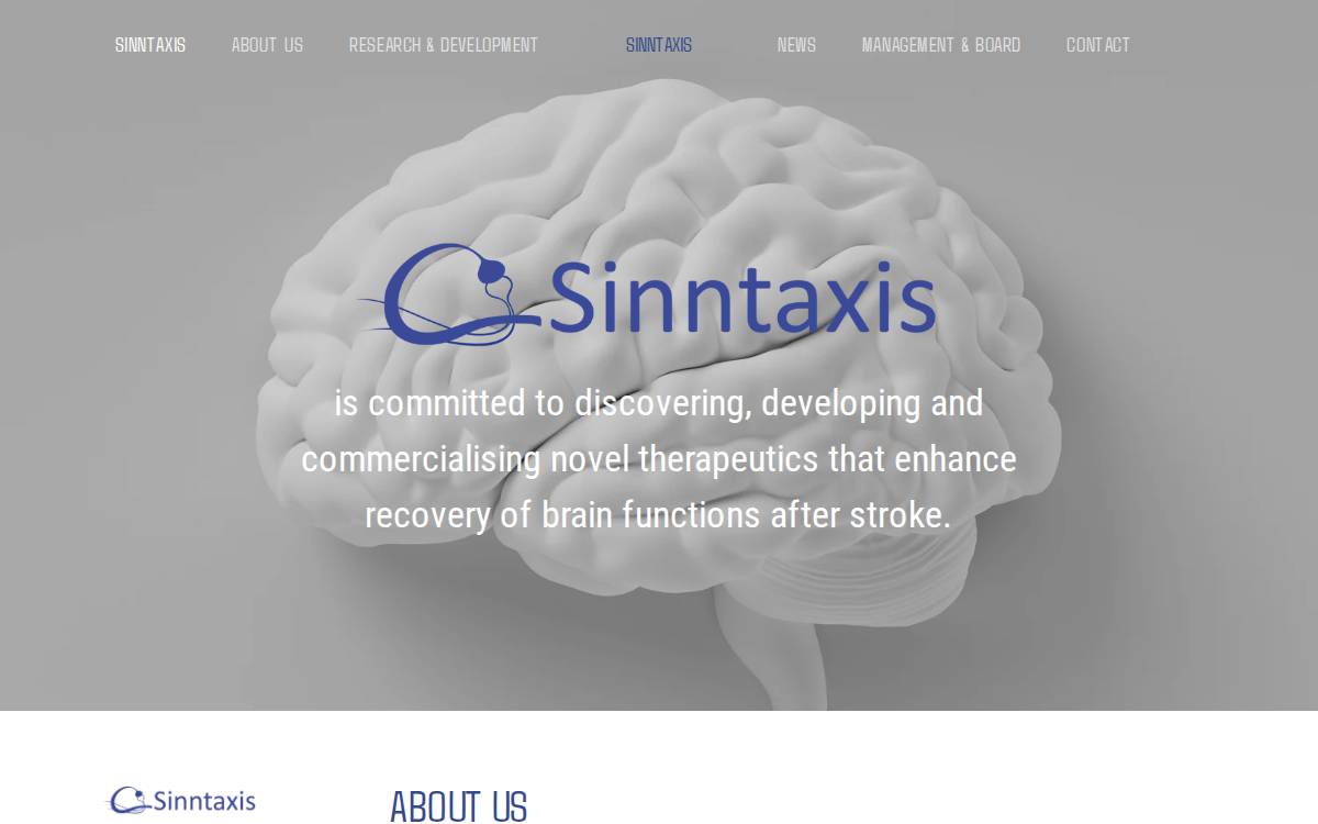 Sinntaxis website preview