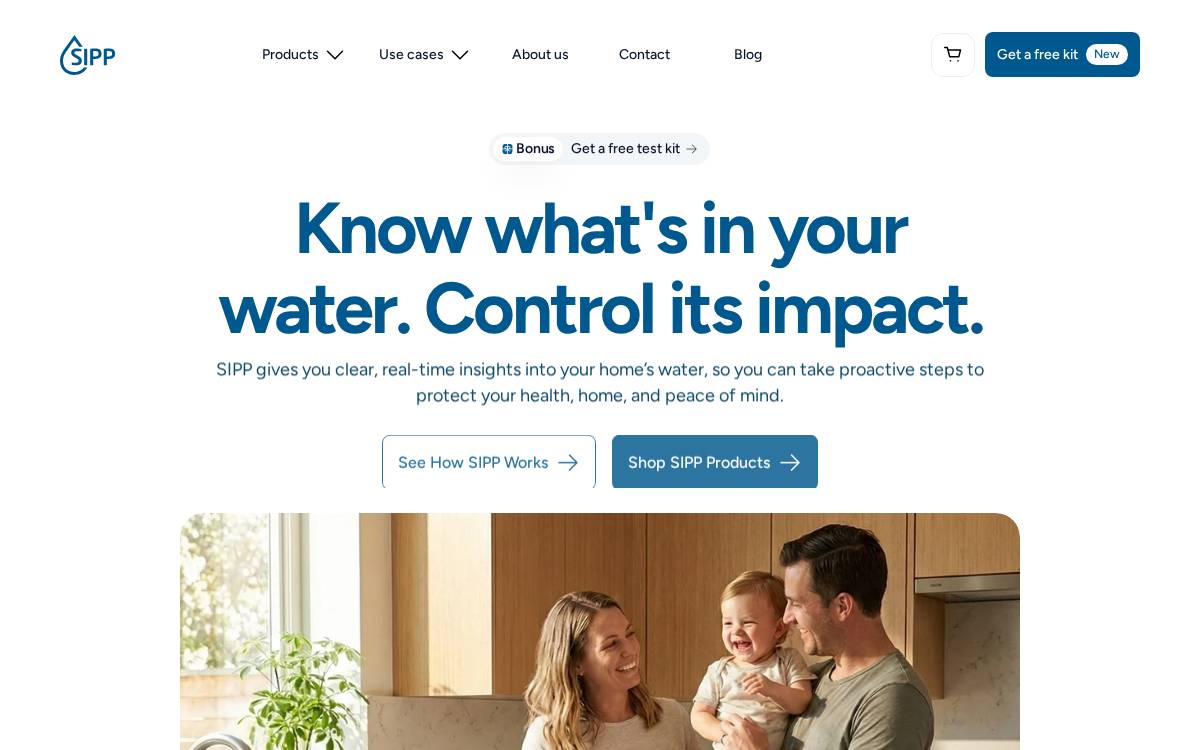 SIPP website preview