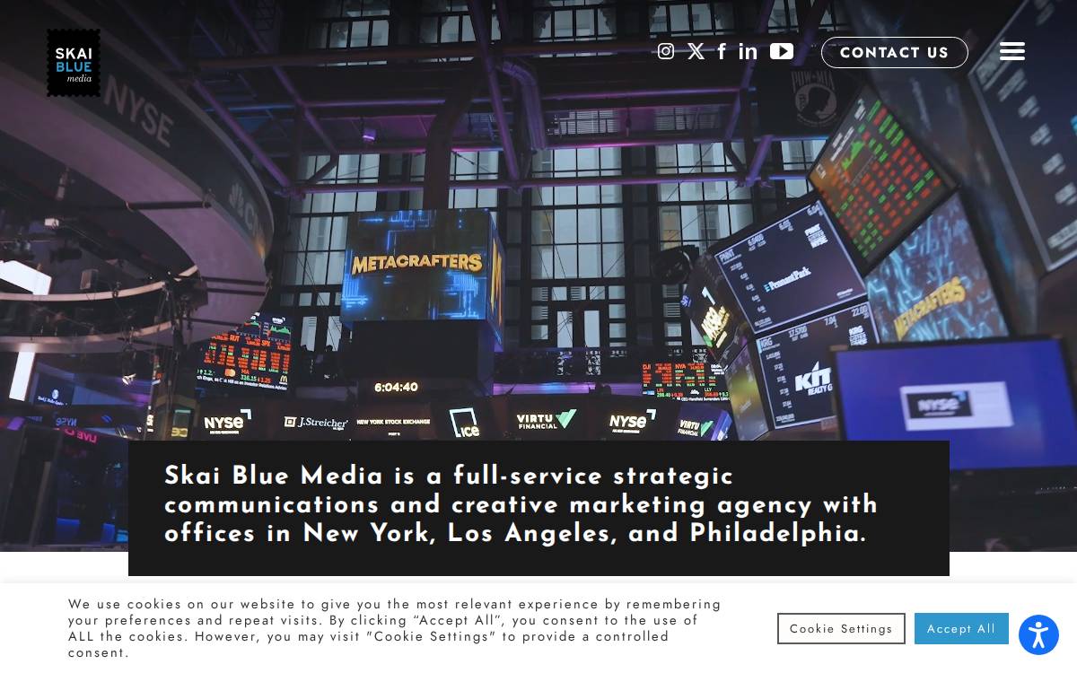 Skaibluemedia website preview