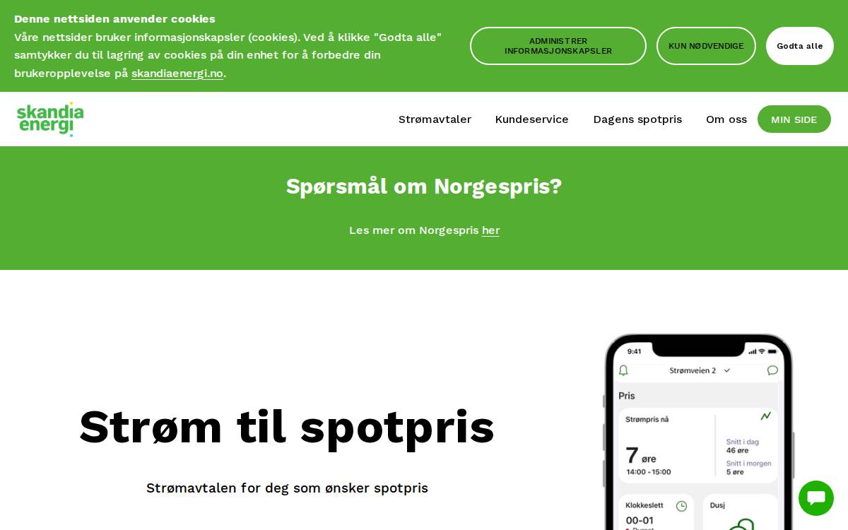 Skandia Energi website preview