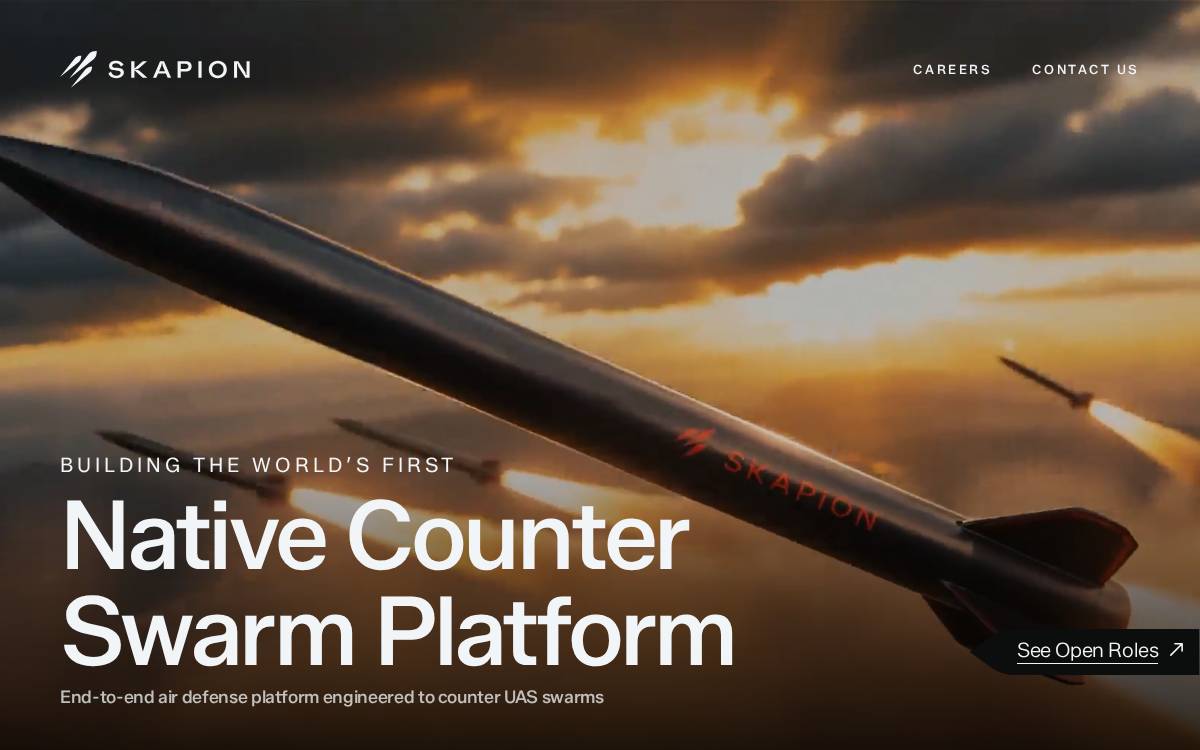 Skapion website preview