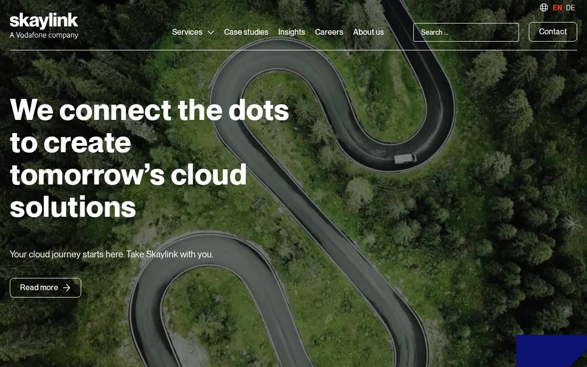 Skaylink website preview