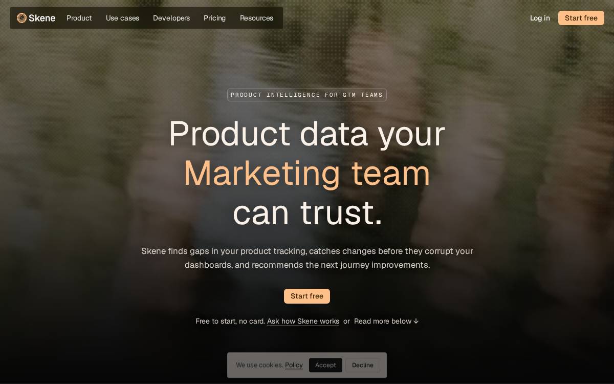 Skene website preview