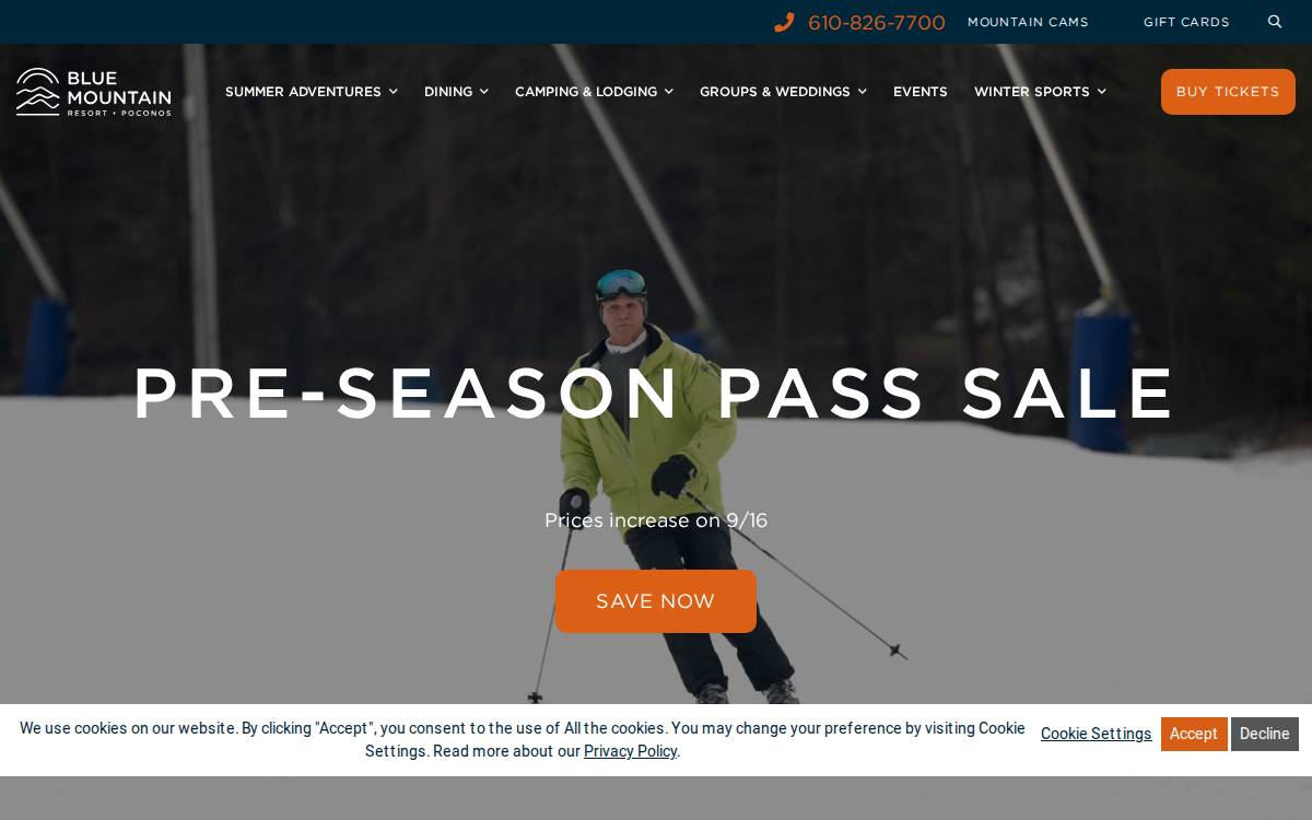Skibluemt website preview
