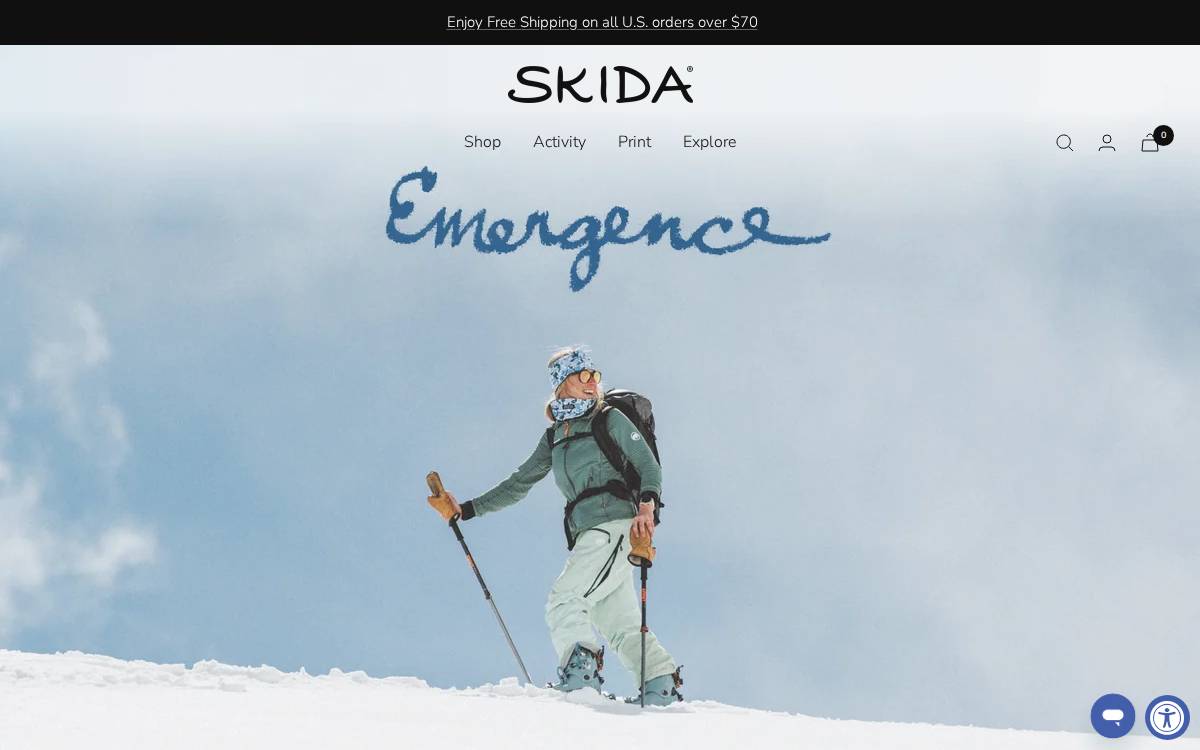 Skida website preview