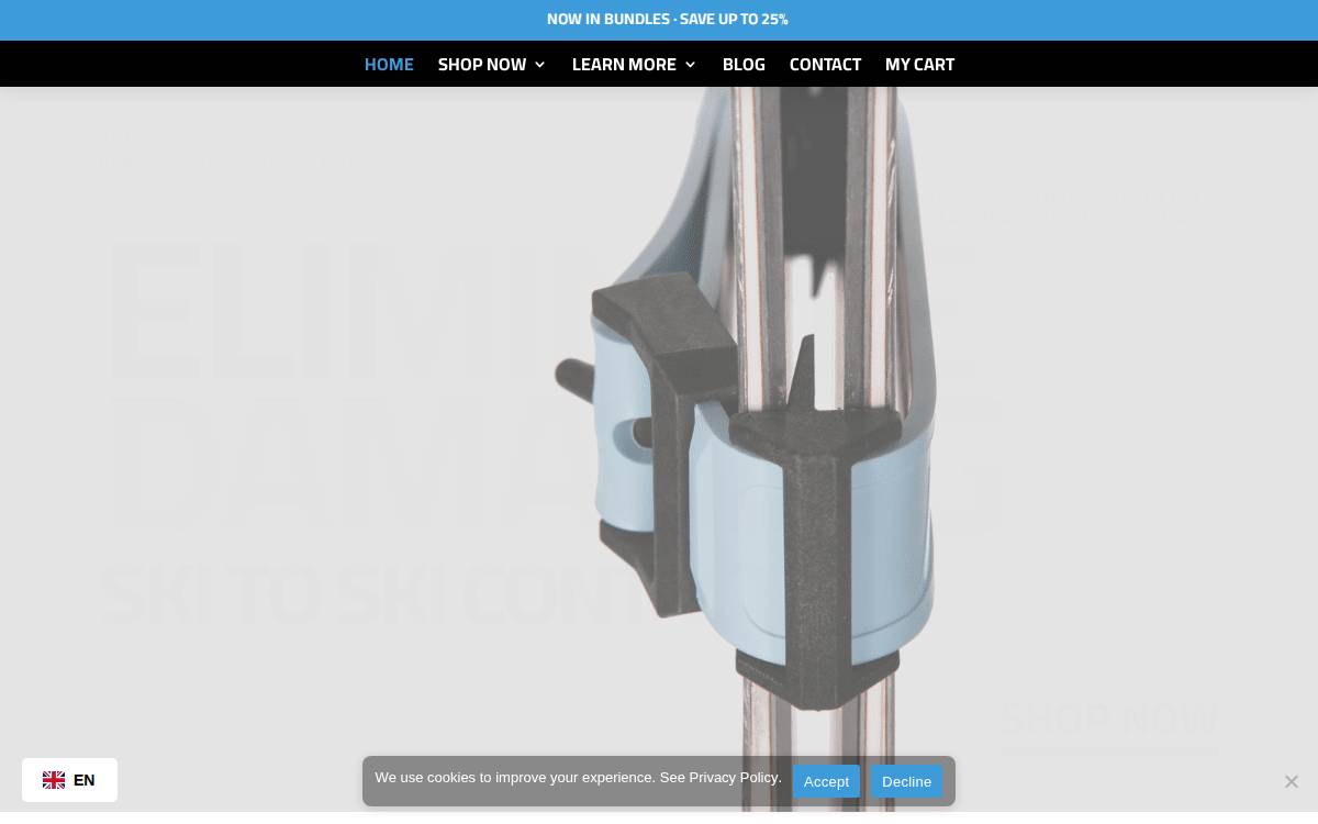 Skiezy website preview