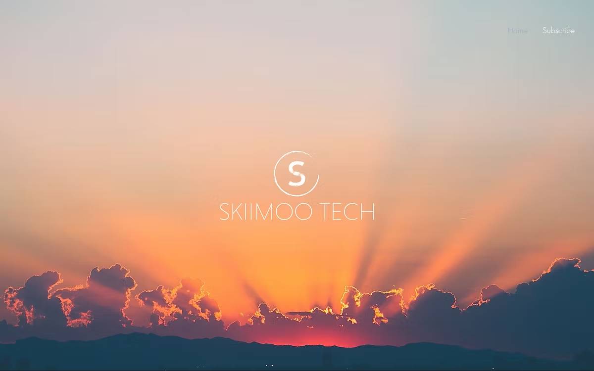 SkiiMoo Tech website preview