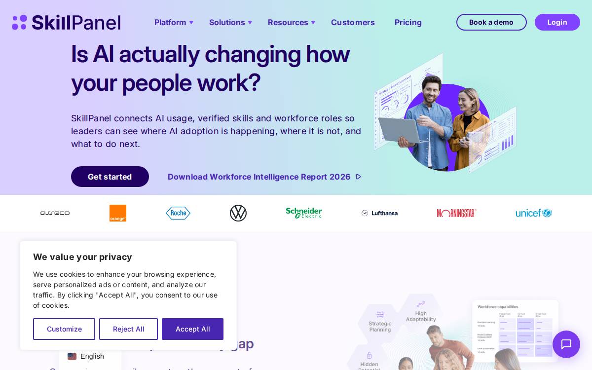 Skillpanel website preview