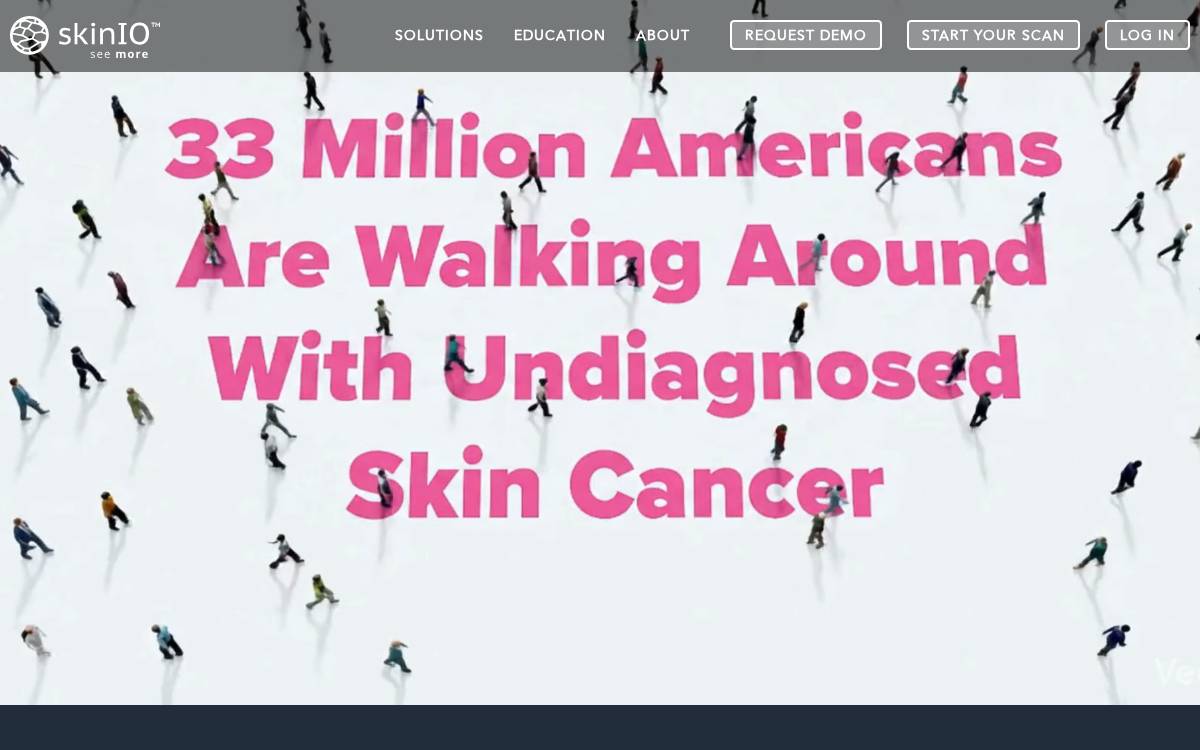 SkinIO website preview