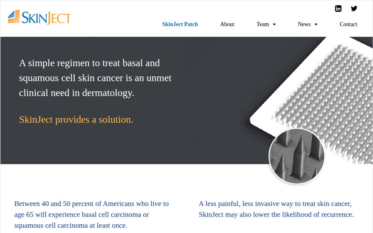SkinJect website preview