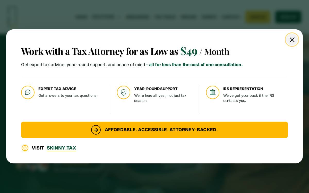 SkinnyTax website preview