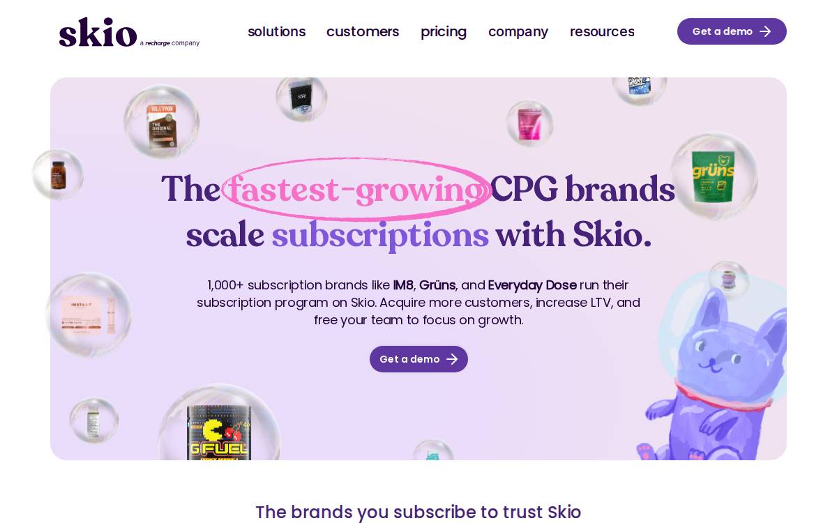Skio website preview