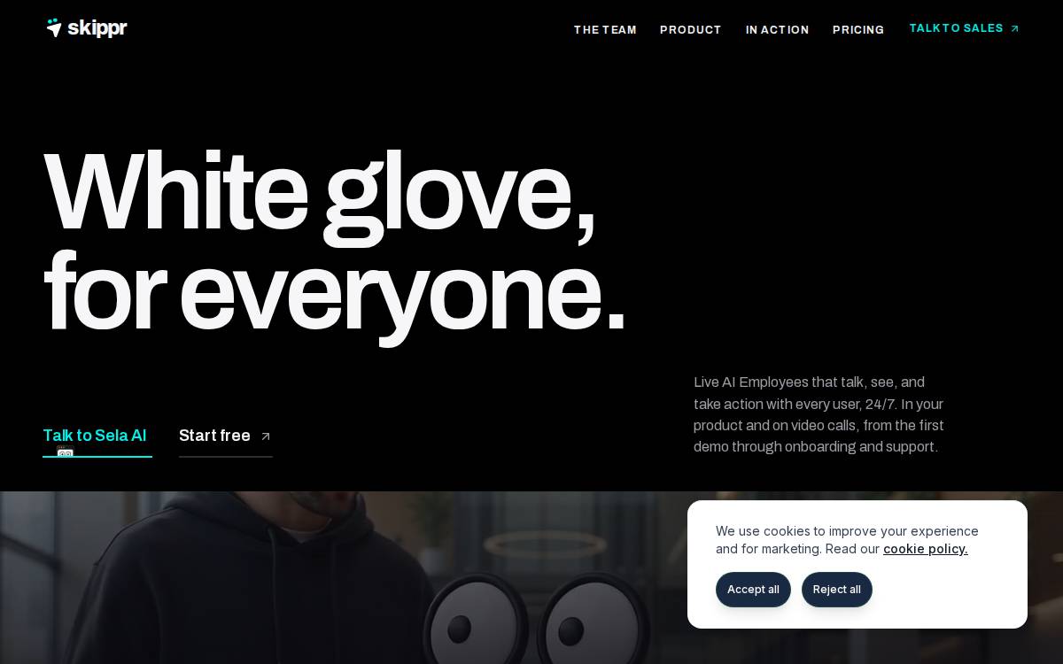Skippr website preview