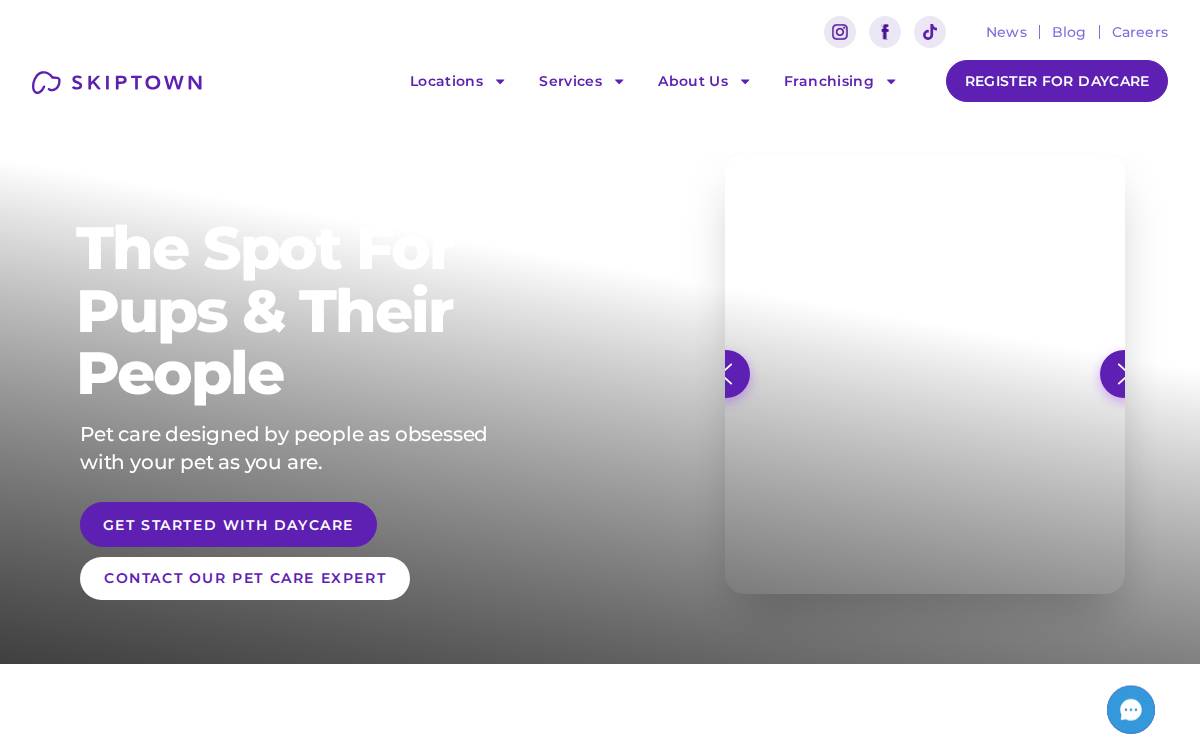 Skiptown website preview