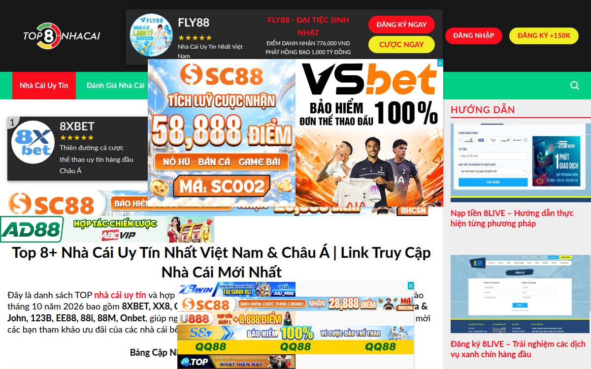Skola website preview