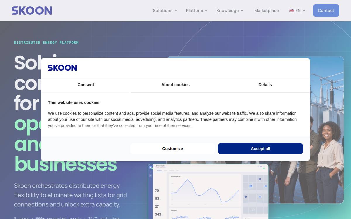 Skoon website preview