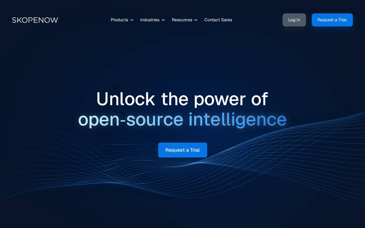 Skopenow website preview