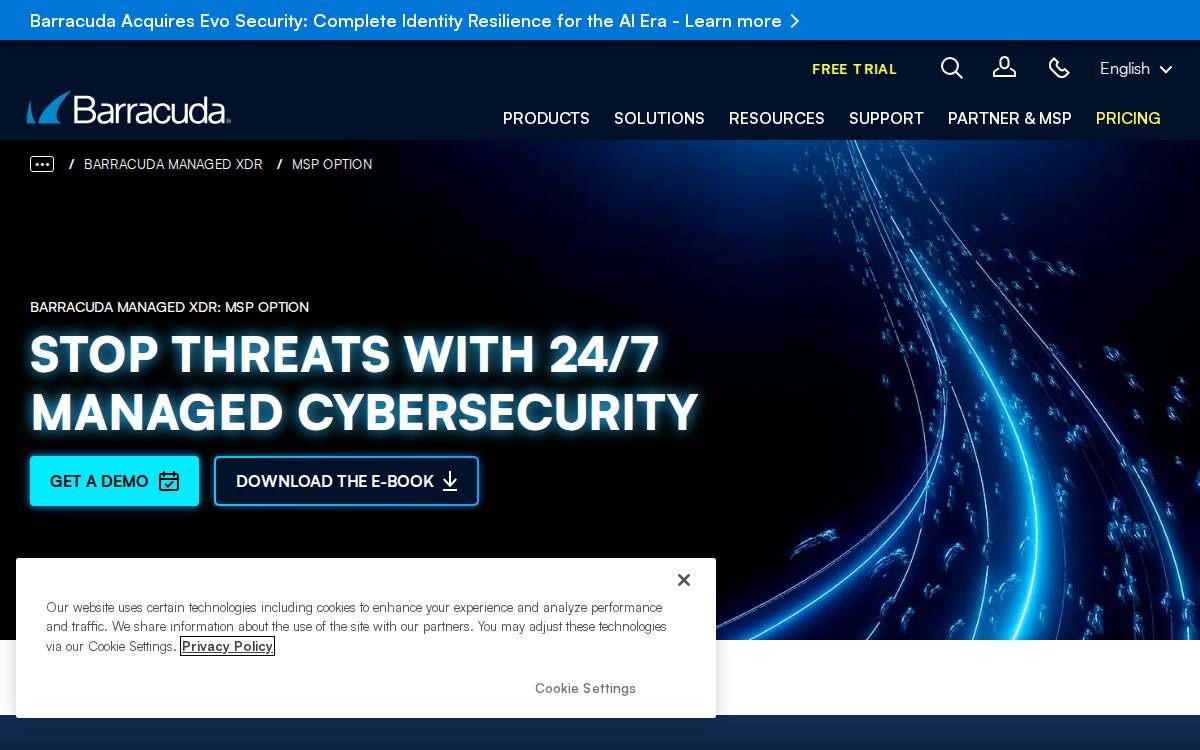 SKOUT Cybersecurity website preview