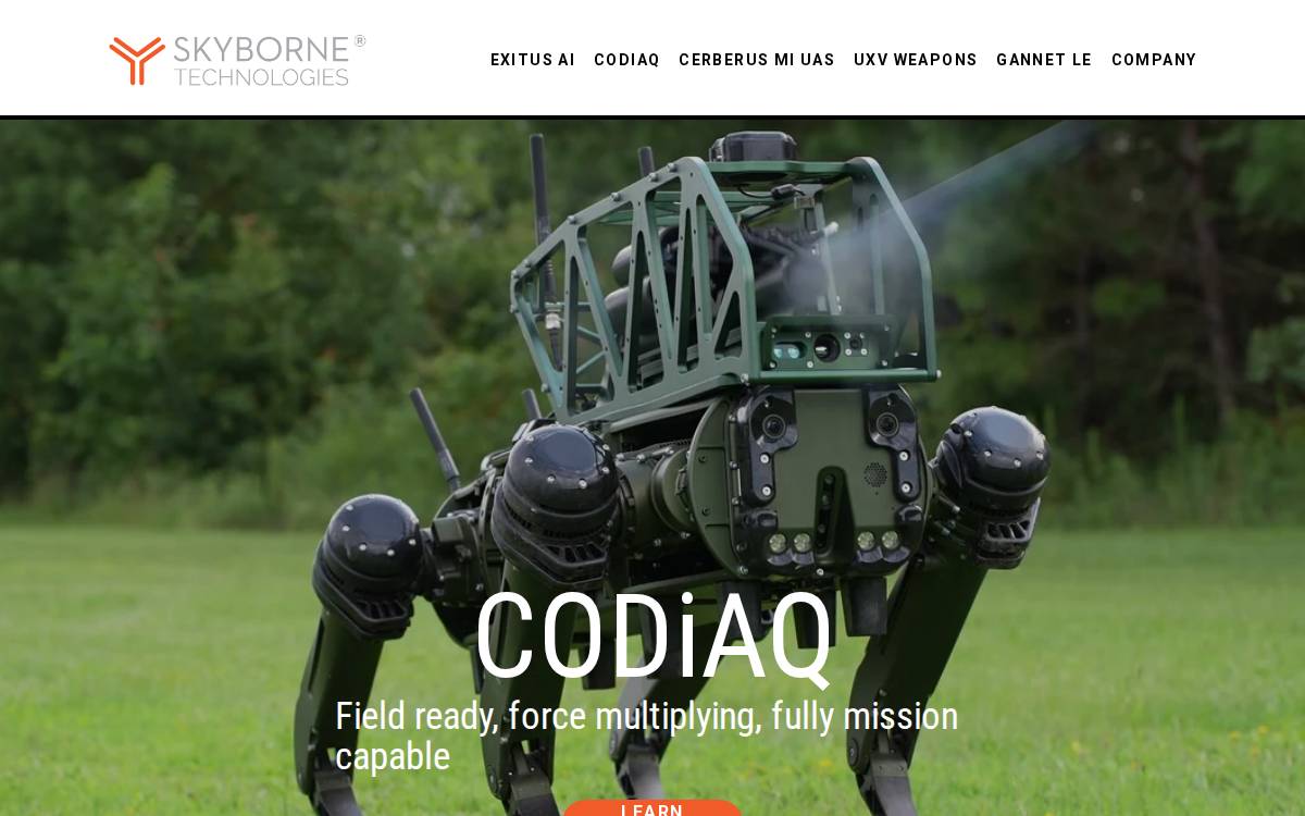 Skyborne Technologies website preview