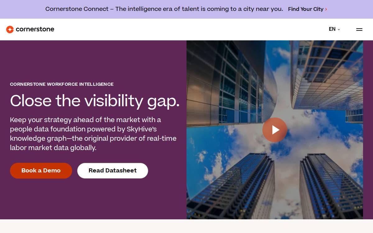 SkyHive website preview