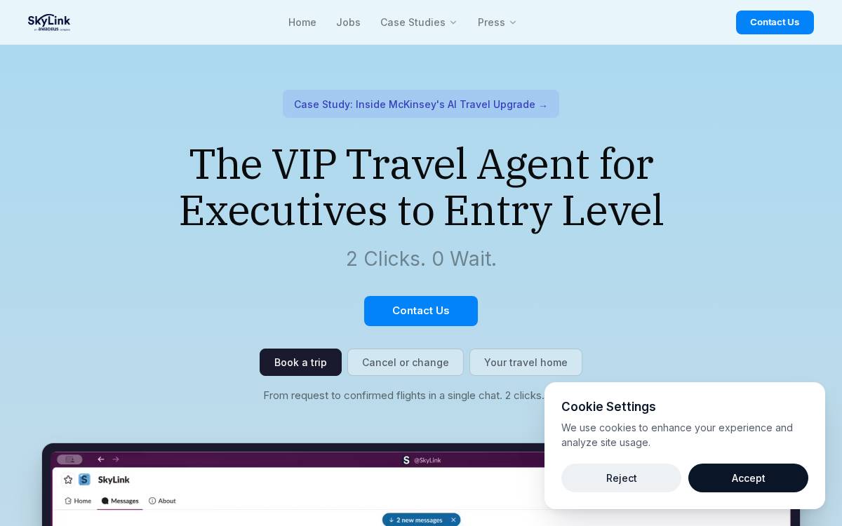 SkyLink website preview