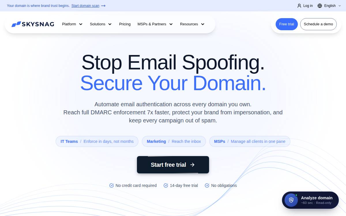 Skysnag website preview
