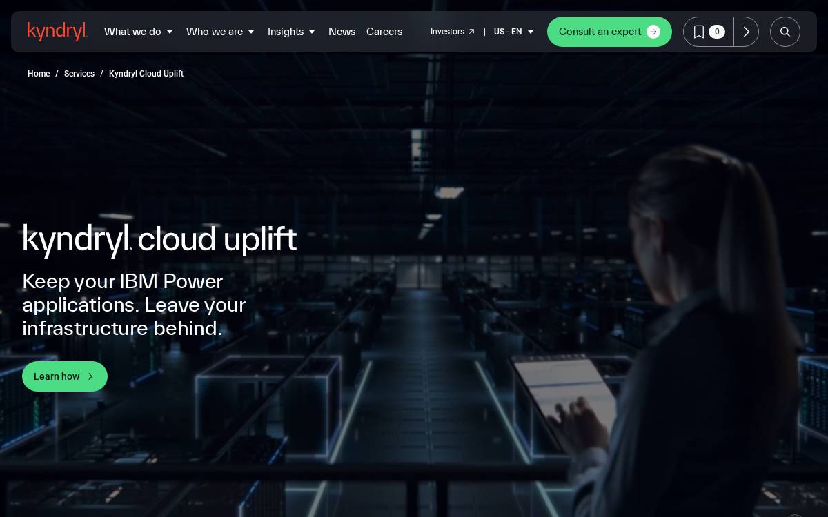Skytap website preview