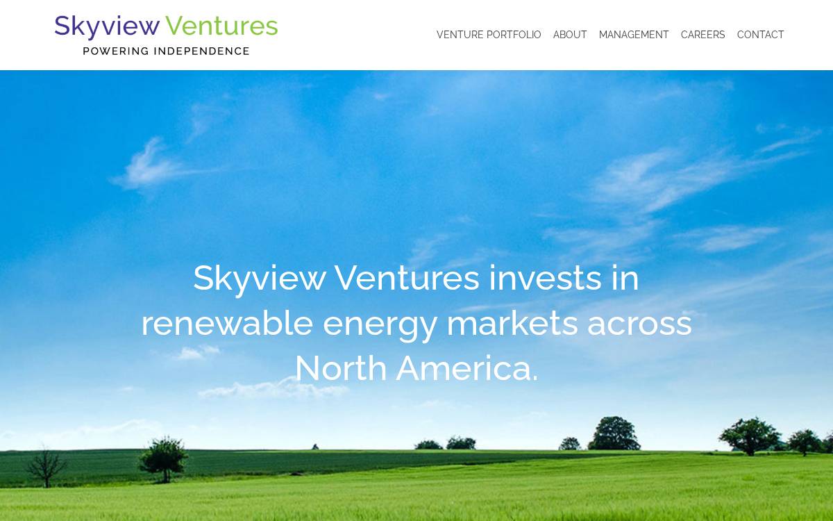 Skyview Ventures website preview