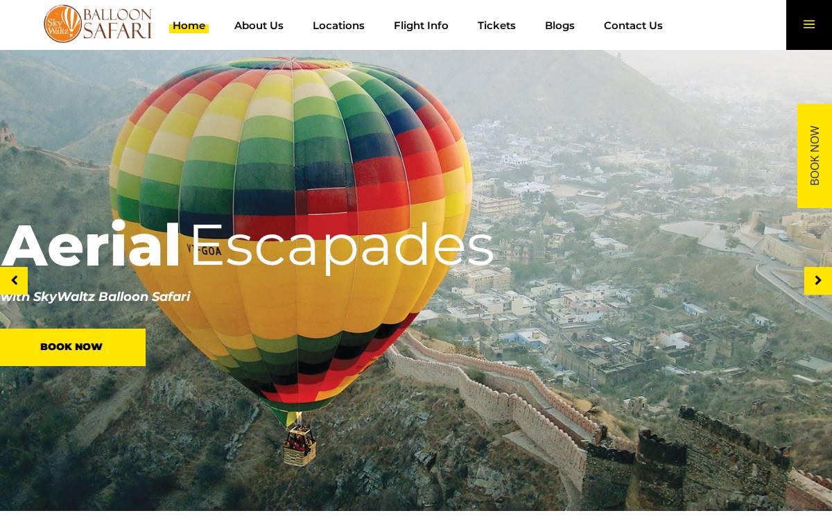 SkyWaltz website preview