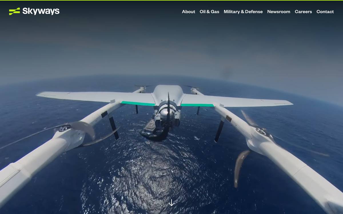 Skyways website preview