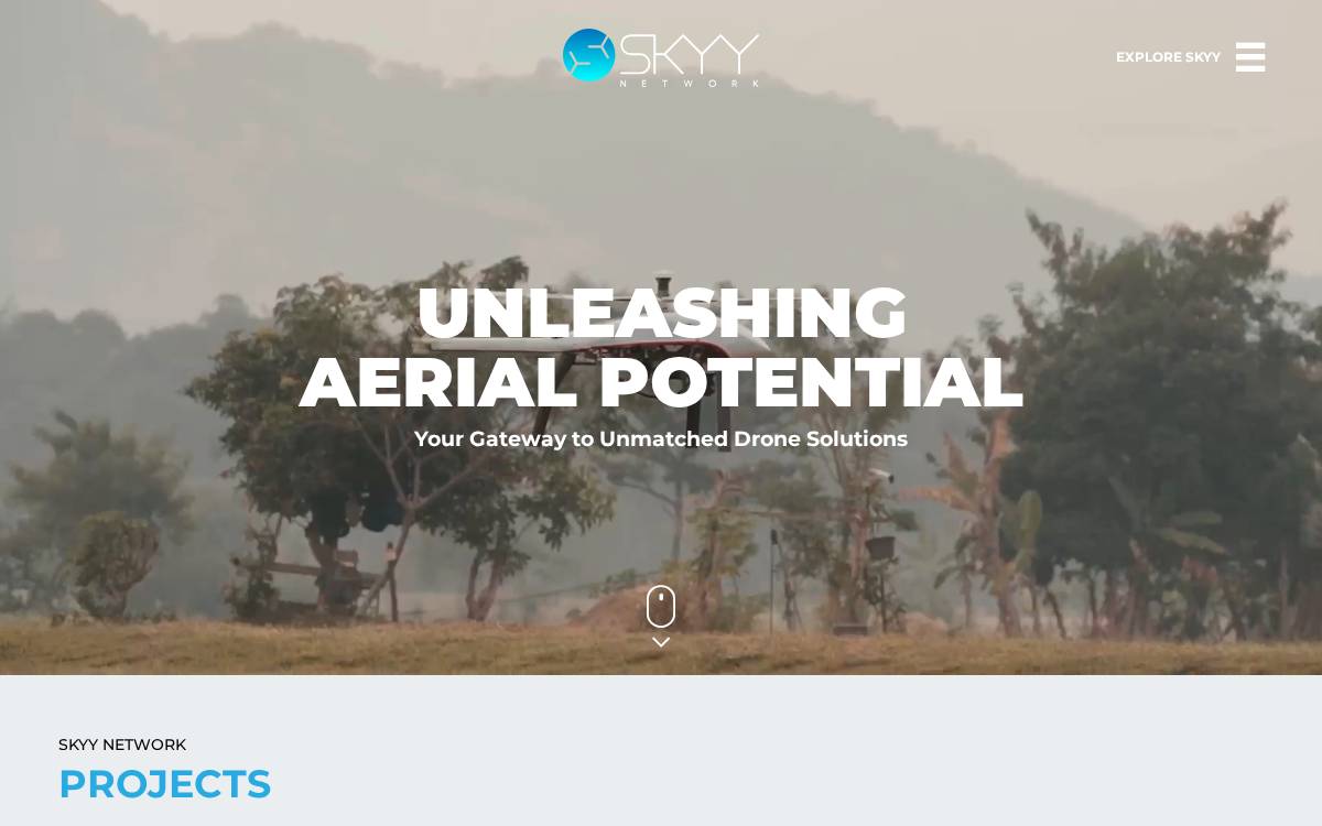Skyy website preview