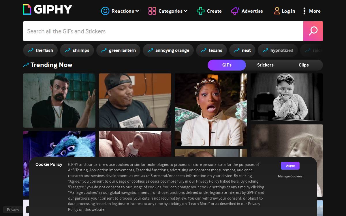Slash website preview