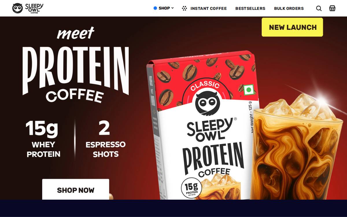 Sleepy Owl website preview
