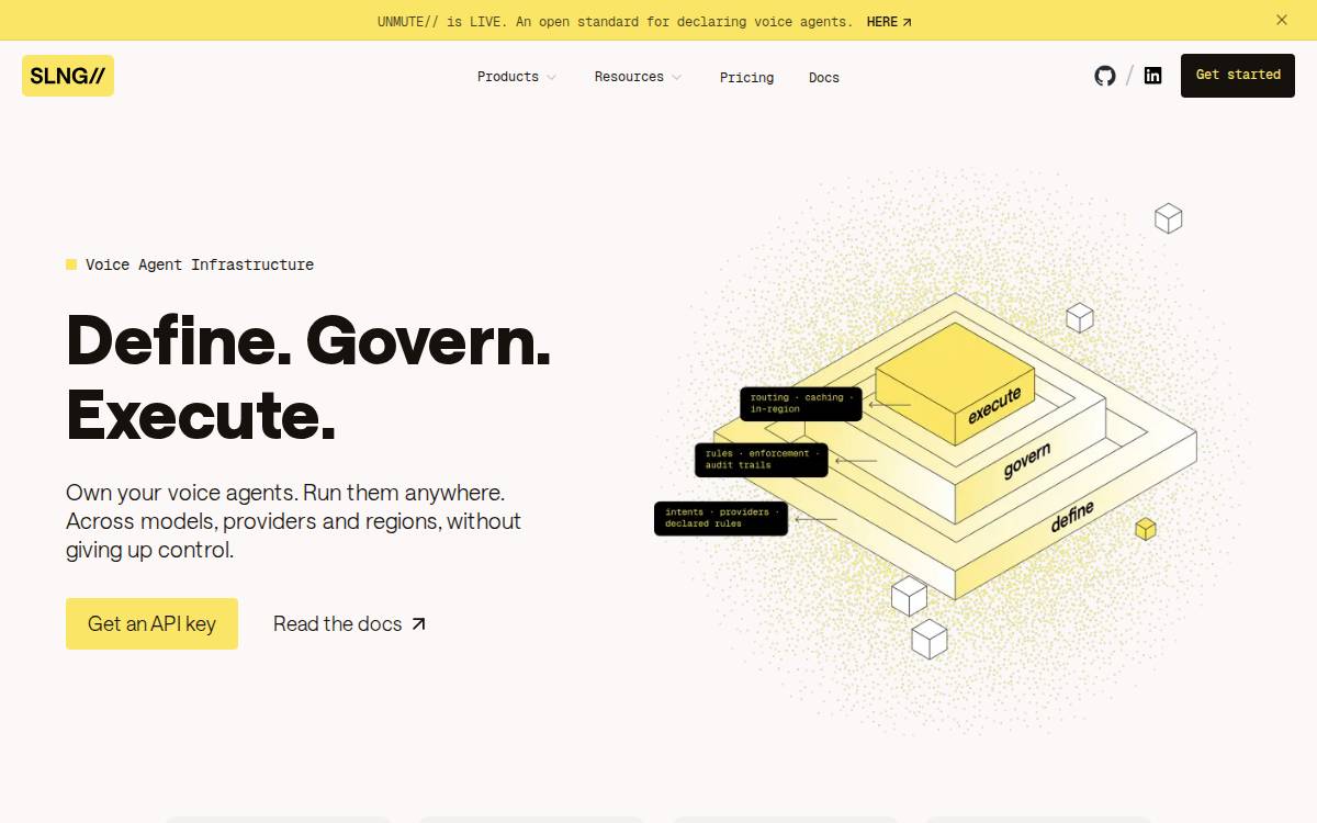 Slng website preview