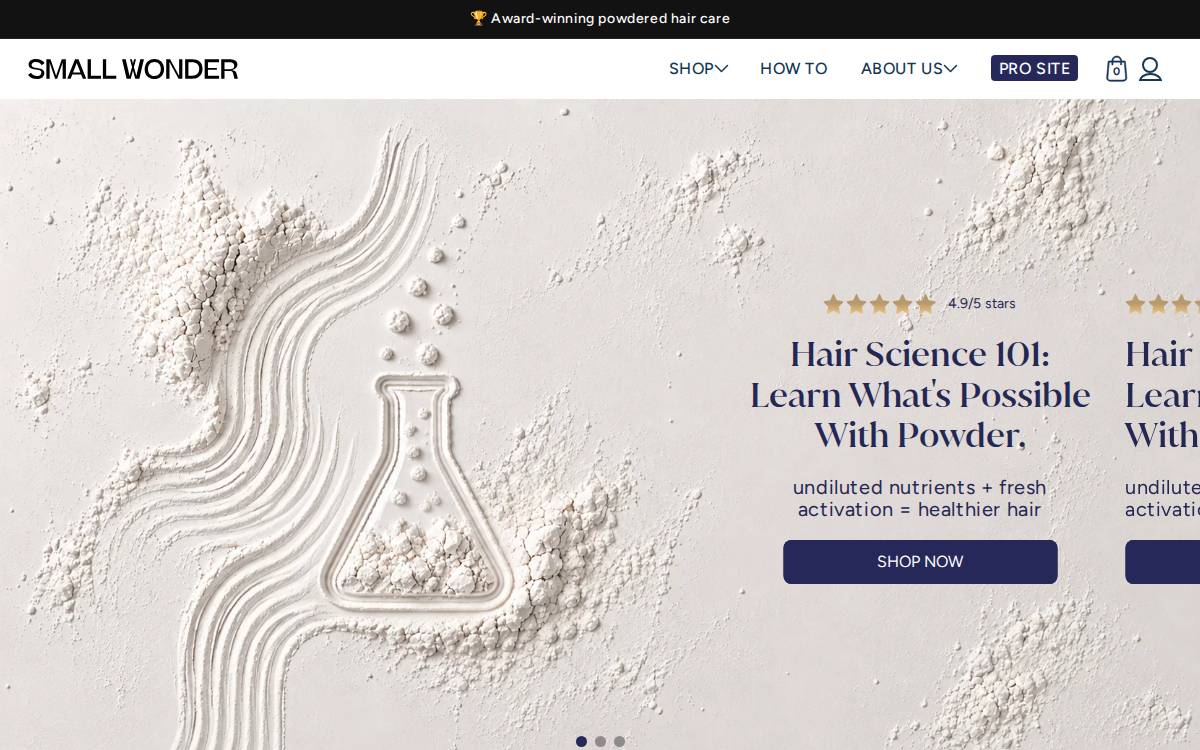 Small Wonder website preview