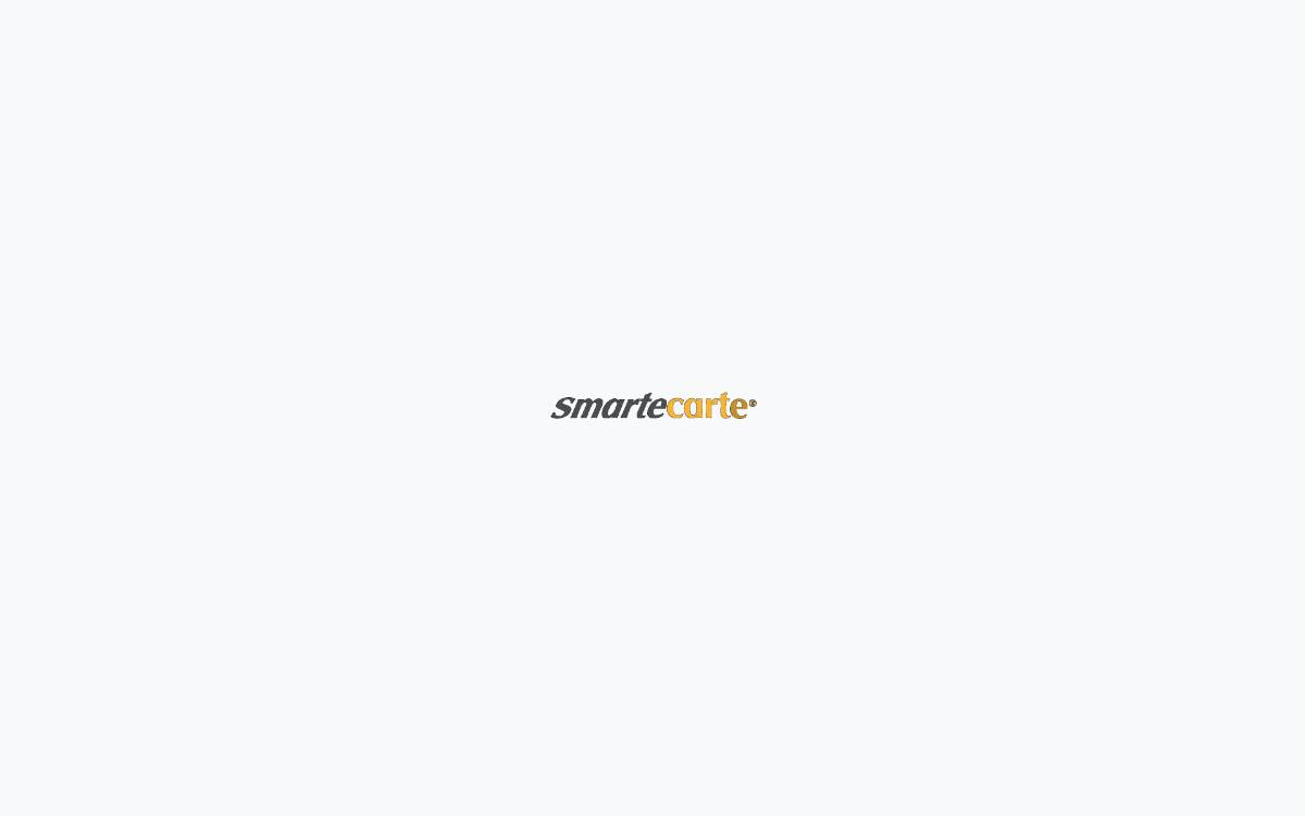 Smarte Carte website preview