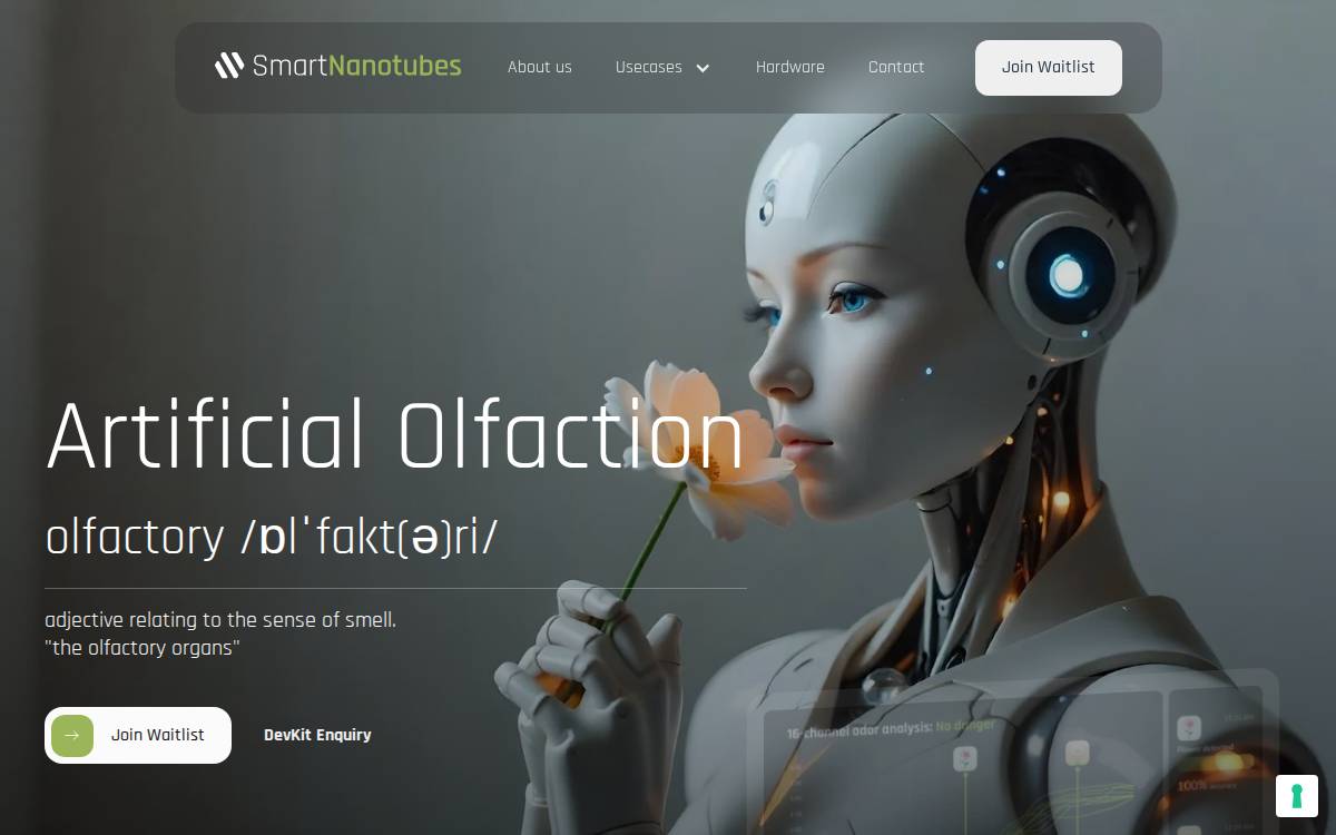 SmartNanotubes Technologies website preview
